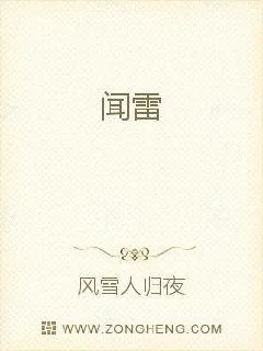 《闻雷》小说封面