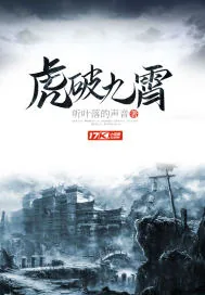 《虎破九霄》小说封面