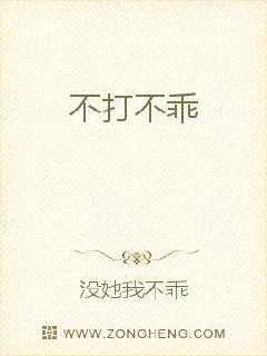 《不打不乖》小说封面