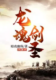 《龙魂剑圣》小说封面