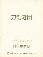 《刀剑谜团》小说封面