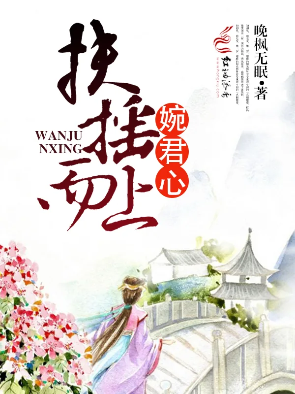 《扶摇而上婉君心》小说封面