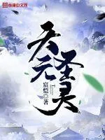 《天元圣灵》小说封面
