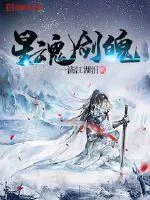 《星魂剑魄》小说封面