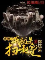 《我就是扫把星》小说封面