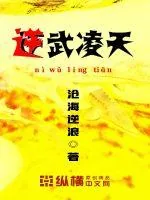 《逆武凌天》小说封面