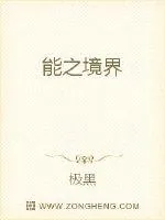 《能之境界》小说封面