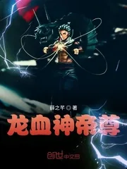 《龙血神帝尊》小说封面