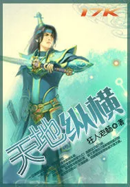 《天地纵横》小说封面