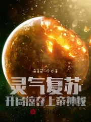 《开局掠夺上帝神权》小说封面