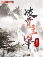 《凌霄主宰》小说封面