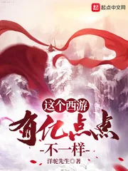 《这个西游：有亿点点不一样》小说封面