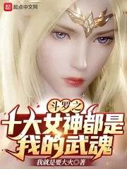 《斗罗之十大女神都是我的武魂》小说封面