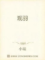 《观羽》小说封面