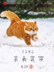 《全球降临：杀戮战场》小说封面