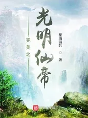 《完美世界之光明仙帝》小说封面