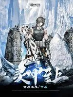 《灵甲至上》小说封面