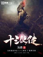 《十三使徒》小说封面