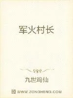 《军火主宰》小说封面