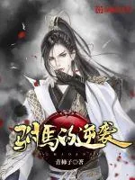 《驸马的逆袭》小说封面