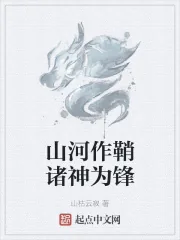 《山河作鞘诸神为锋》小说封面