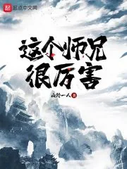 《这个师兄很厉害》小说封面