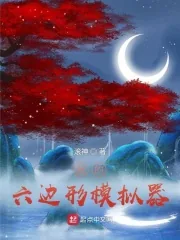 《我的六边形模拟器》小说封面
