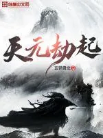 《天元劫起》小说封面
