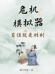 《危机模拟器：苟住就是胜利》小说封面