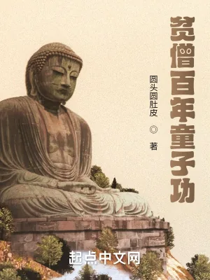 《贫僧百年童子功》小说封面