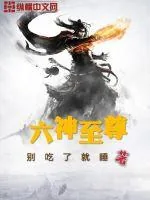 《六神至尊》小说封面