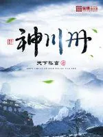 《神川册》小说封面