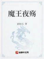 《魔王夜殇》小说封面