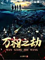 《万相之劫》小说封面