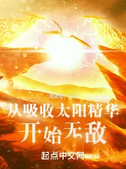 《从吸收太阳精华开始无敌》小说封面