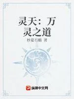 《灵天：万灵之道》小说封面