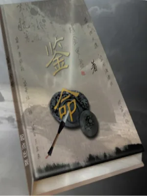 《鉴命》小说封面