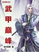 《武甲巅峰》小说封面