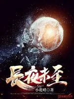 《长夜未至》小说封面