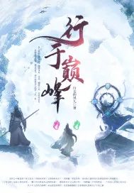 《行于巅峰》小说封面