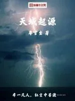 《天域起源》小说封面