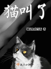 《猫叫了》小说封面
