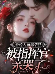 《娇娇人鱼挺孕肚，被指挥官亲哭了》小说封面