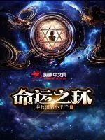 《命运之环》小说封面