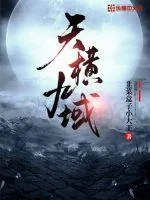 《天横九域》小说封面