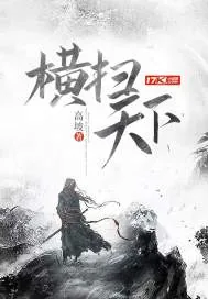 《横扫天下》小说封面