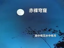 《赤裸穹隆》小说封面