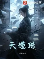 《天道珠》小说封面