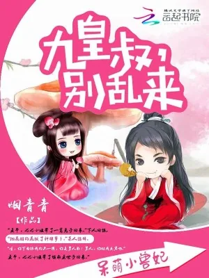 《呆萌小兽妃:九皇叔,别乱来》小说封面