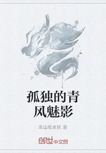 《孤独的青风魅影》小说封面